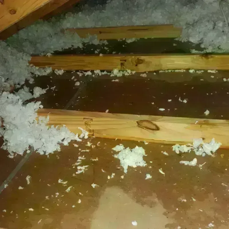 Attic Water Damage in Akutan, AK