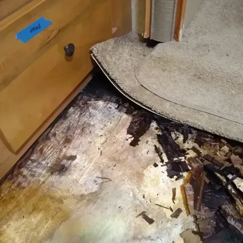 Wood Floor Water Damage in Akutan, AK